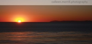 finally finding time to blog...